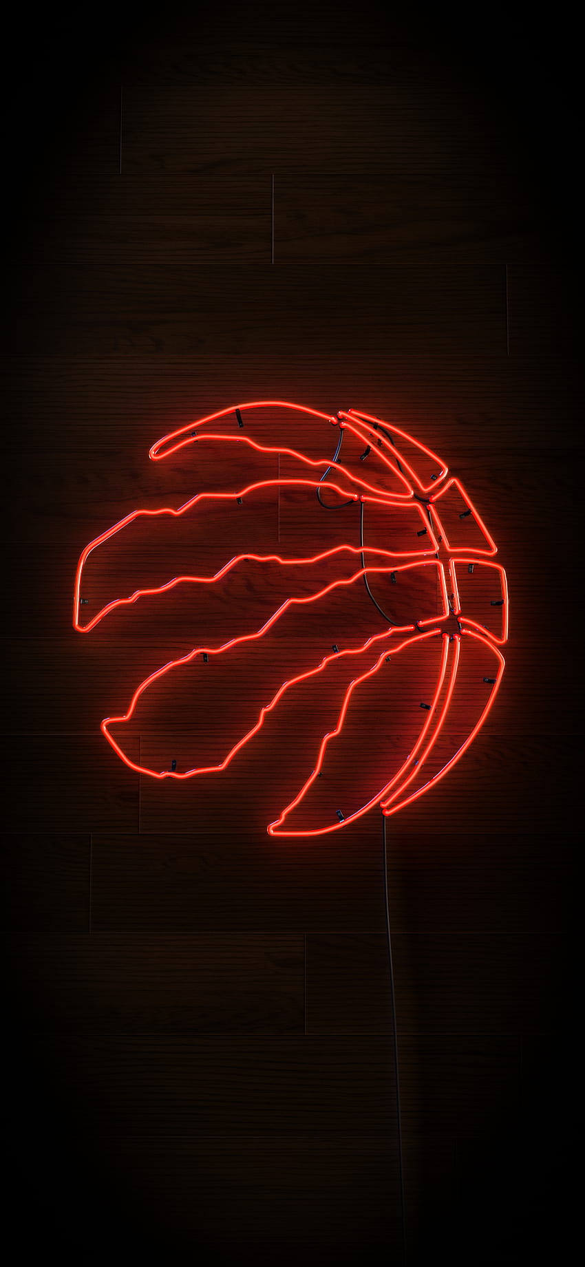 Neonschild der Toronto Raptors HD-Handy-Hintergrundbild