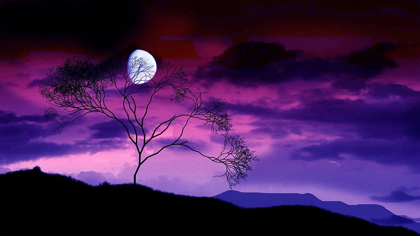 Blue Night And Moon Nature, nature night HD wallpaper