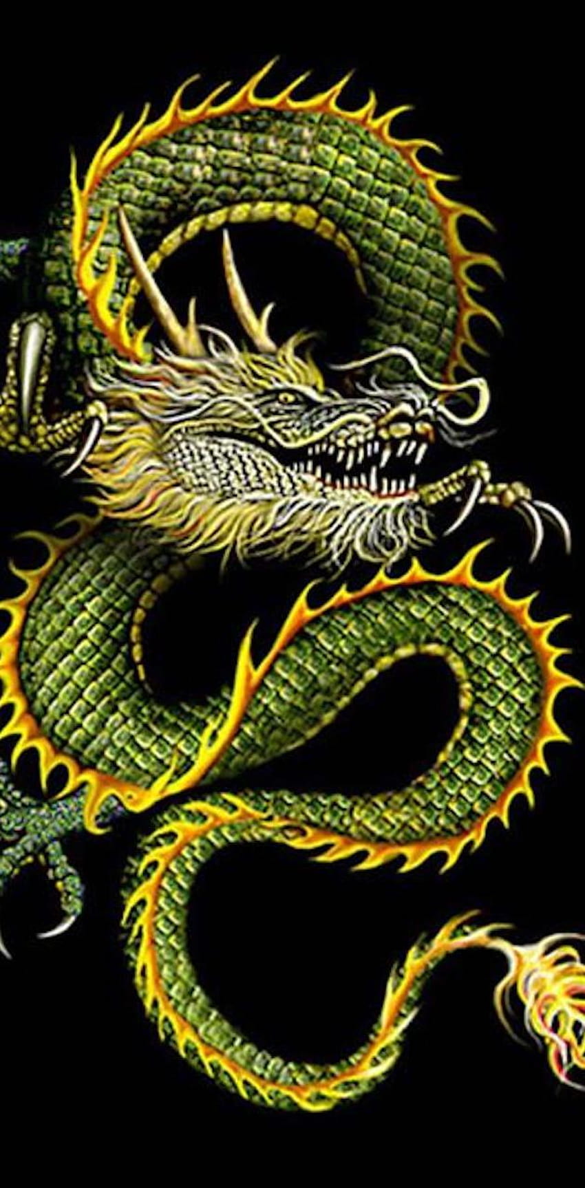 dragon chinois par tubar, dragon oriental Fond d'écran de téléphone HD