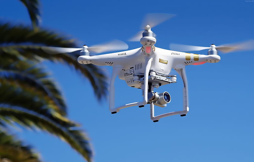 Phantom, biały, palma, dron, zaawansowana technologia, quadcopter, DJI Phantom 3, część cześć, dji drone Tapeta HD