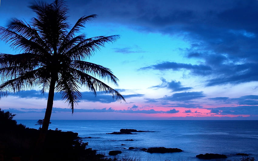 5 มหาสมุทรฮาวาย พระอาทิตย์ตกที่ฮาวาย วอลล์เปเปอร์ HD