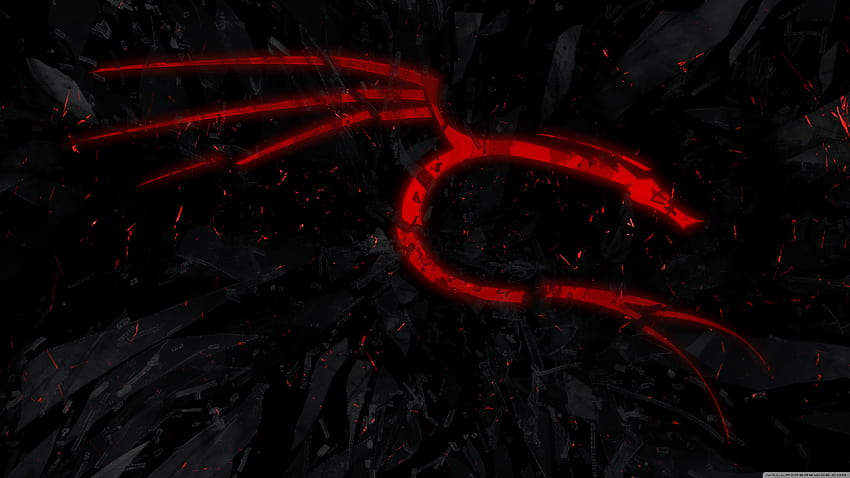 red Kali dragon Ultra Backgrounds untuk U, kaali Wallpaper HD