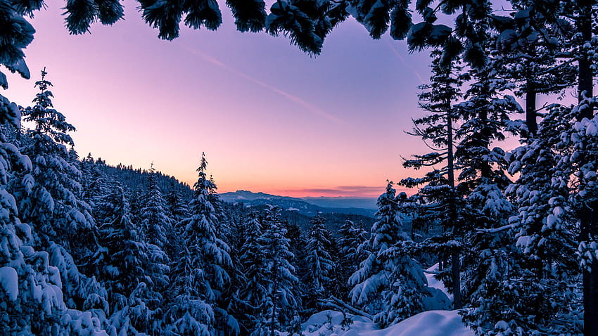 Zimowa Kraina Czarów! Vancouver Island BC, estetyczna zimowa kraina czarów Tapeta HD
