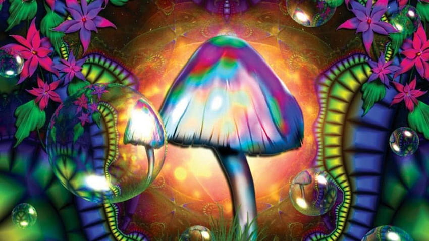 Magic Mushrooms 801140, psychedelic mushrooms HD wallpaper