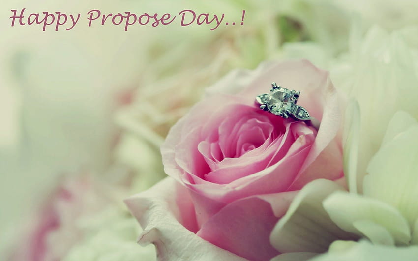 valentines day wishes, quotes,sms ...sites.google, rose propose HD wallpaper