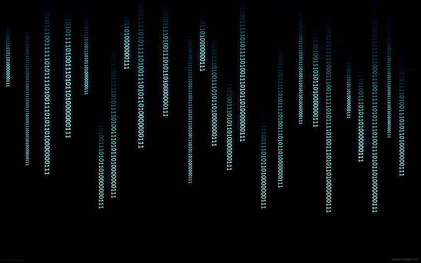 Dark Web, minimal dark hacker HD wallpaper