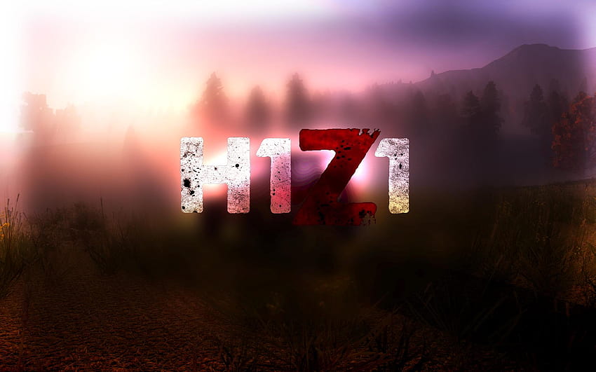 H1Z1 (I didn't design the models) HD wallpaper | Pxfuel