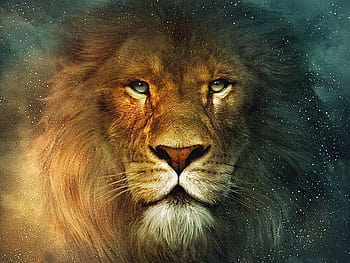 Lion Of Judah Wallpapers  WallpaperSafari  Lion of judah Lion  photography Lion