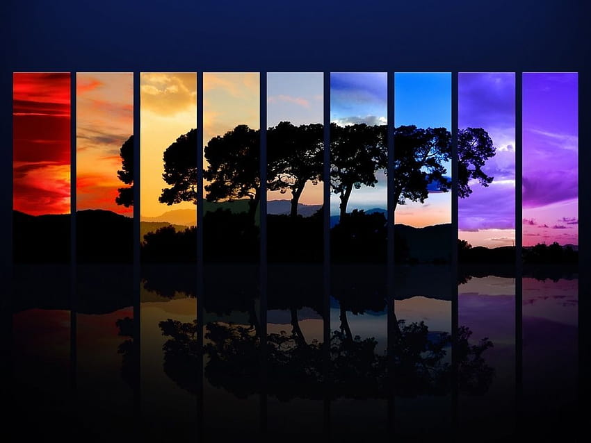 colores del arco iris en la naturaleza, árbol del arco iris fondo de pantalla