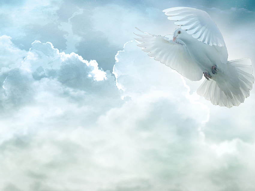 Pics The Holy Spirit [1024x768] for your , Mobile & Tablet, holy ghost ...