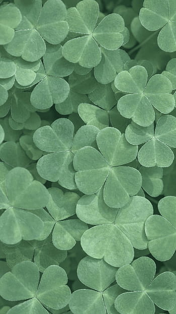 IPhone Wall St Patricks Day tjn st patricks day cute HD phone wallpaper   Pxfuel