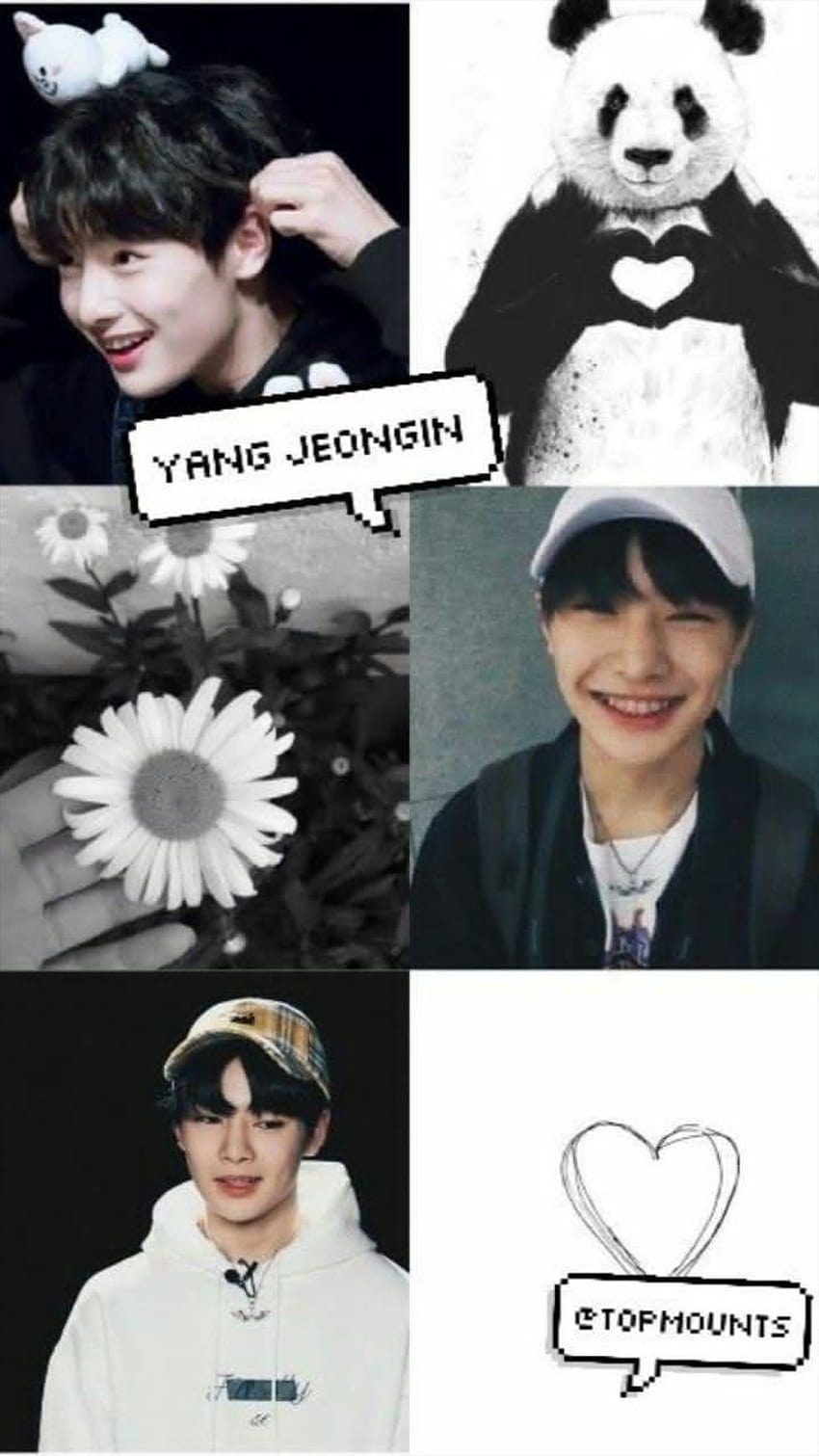 22897996 Yang Jeongin . HD phone wallpaper | Pxfuel