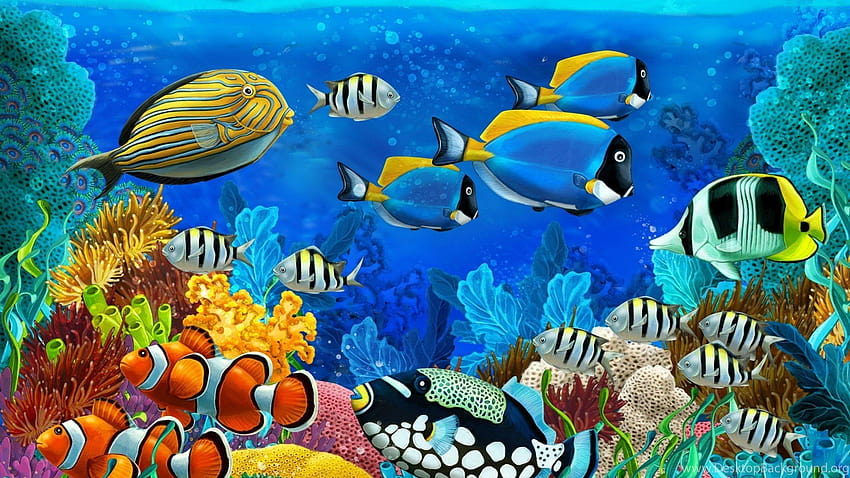 Reef Fish Sea Life สำหรับชีวิตใต้น้ำ สัตว์น้ำ วอลล์เปเปอร์ HD