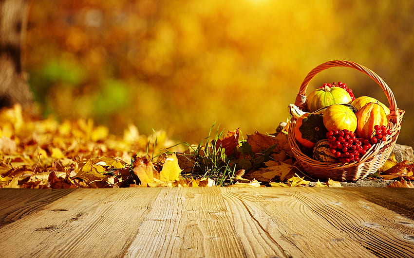 Autumn, pumpkin, basket, berries, leaves, wood board, pumpkins and basket HD wallpaper