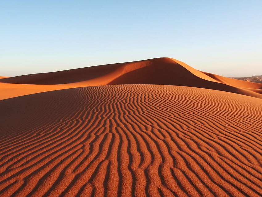 カラハリ砂漠: カラハリ砂漠の乾燥した景観の特徴 高画質の壁紙