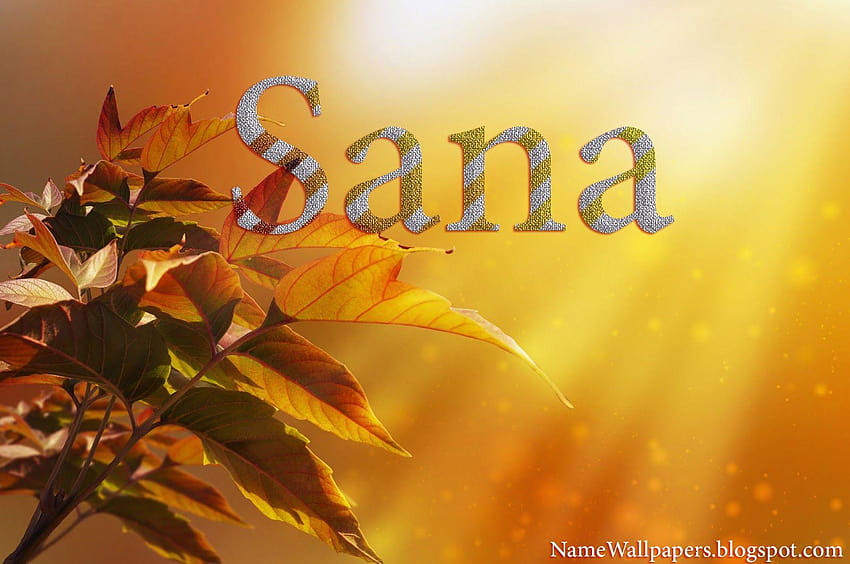 sana-name-sana-name-urdu-name-meaning-name-harsha-name-hd-wallpaper