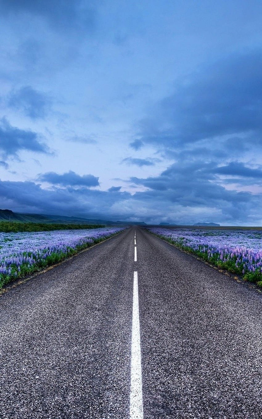 Blue Flower Field Highway iPhone 6 Plus HD phone wallpaper
