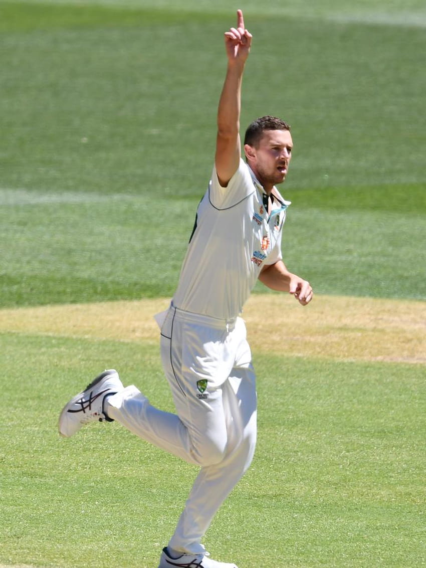 Australien gegen Indien, erster Testtag 3, Live-Berichterstattung aus Adelaide Oval: Australien erringt einen unglaublichen Sieg, Josh Hazlewood HD-Handy-Hintergrundbild