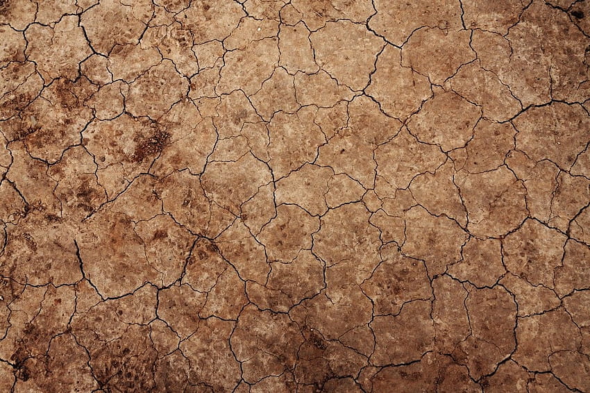 desert, Dirt, Dry, Environment, Erosion, Ground, Nature, Pattern, Texture / and Mobile Backgrounds, dry land HD wallpaper