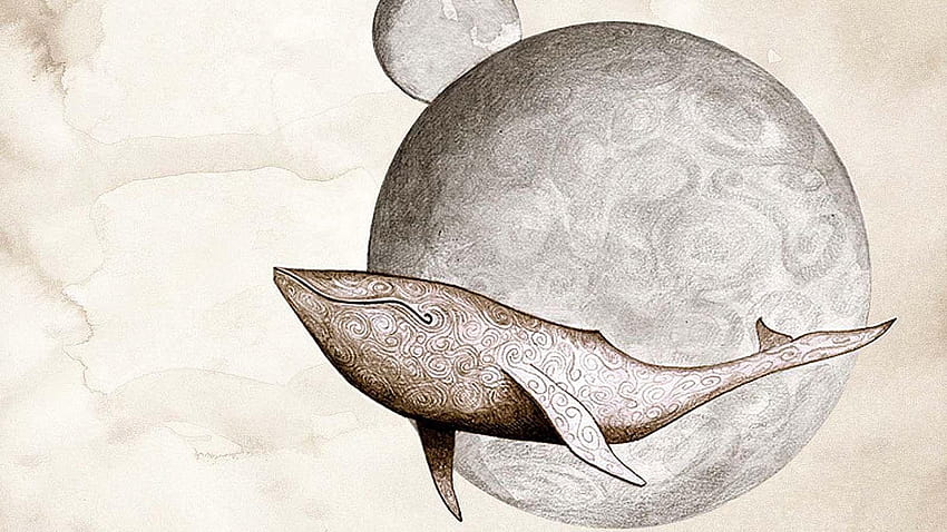 balinalar gojira çizimleri 1600x900 Yüksek Kalite, gojira uçan balinalar HD duvar kağıdı