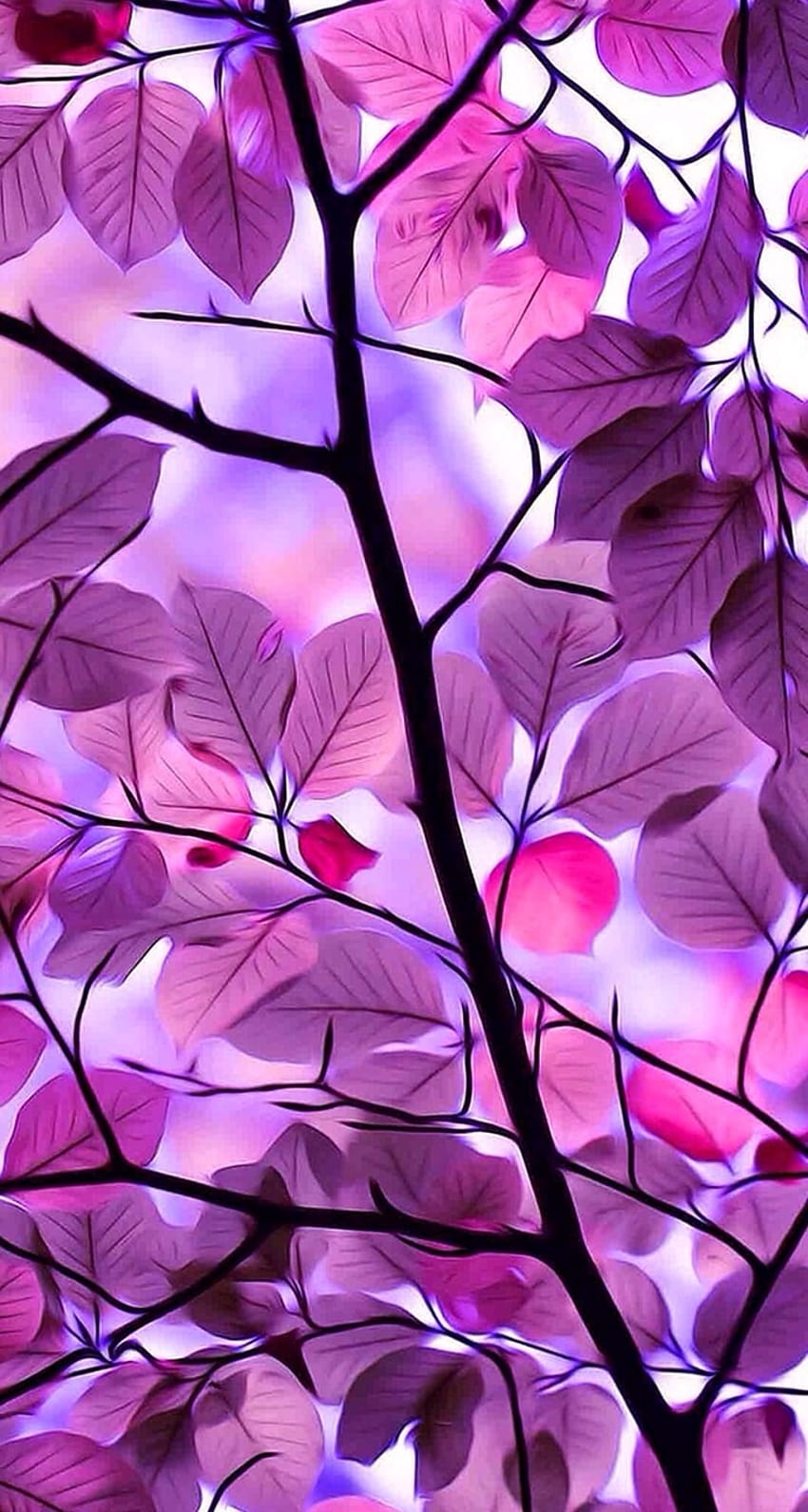 Purple, And Backgrounds, purple leaves HD phone wallpaper