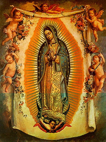 La rosa de guadalupe HD wallpapers  Pxfuel