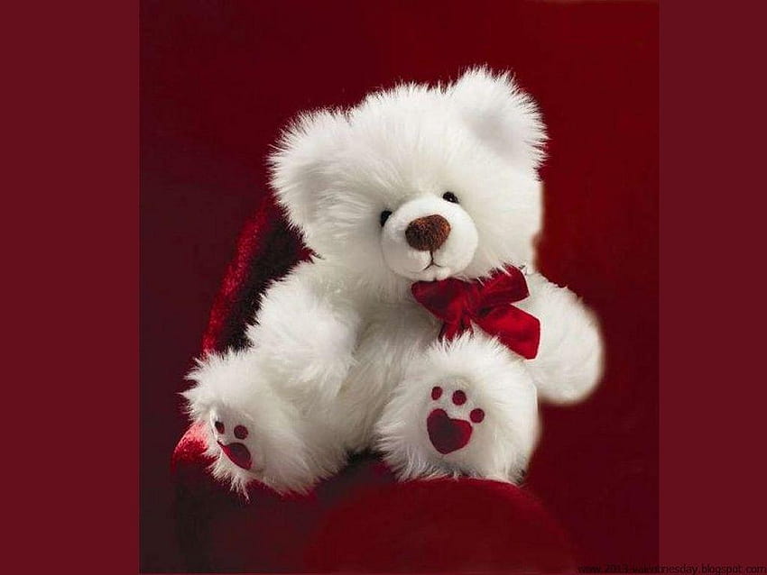 Cute Love Teddy Bear Hd Wallpaper Pxfuel