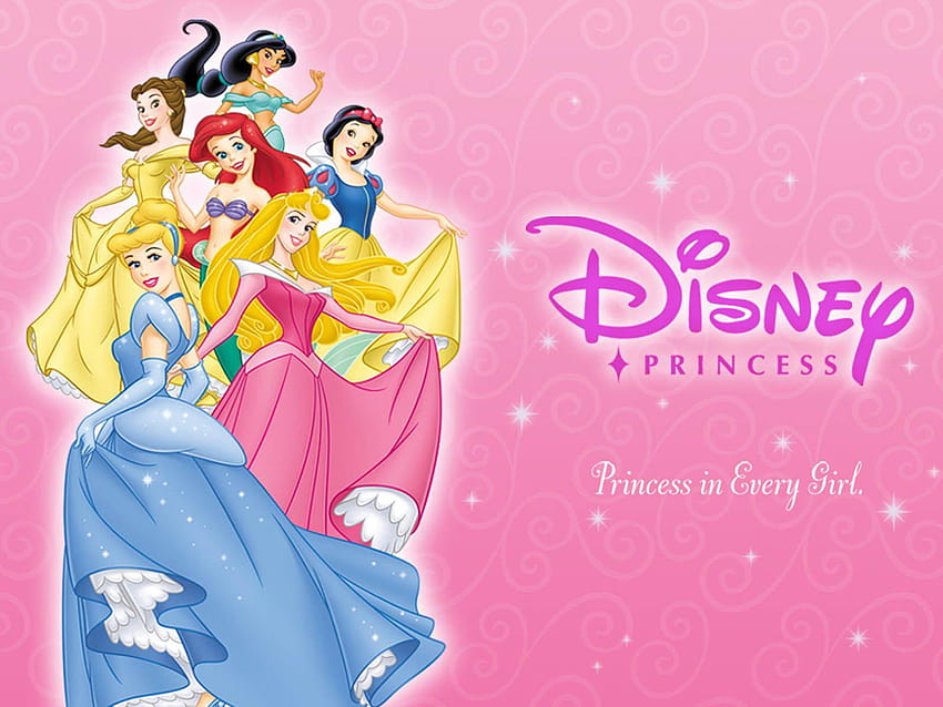 Disney Princess Computer Group, all disney princess HD wallpaper | Pxfuel