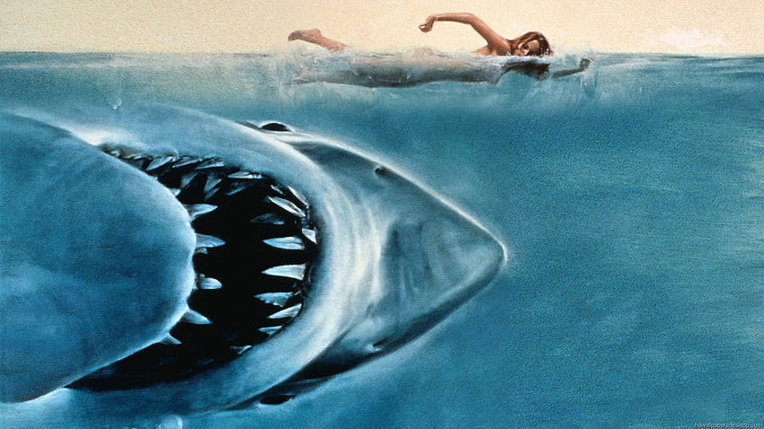 야외 영화 시리즈: Jaws – FringeArts, jaws 영화 로고 HD 월페이퍼