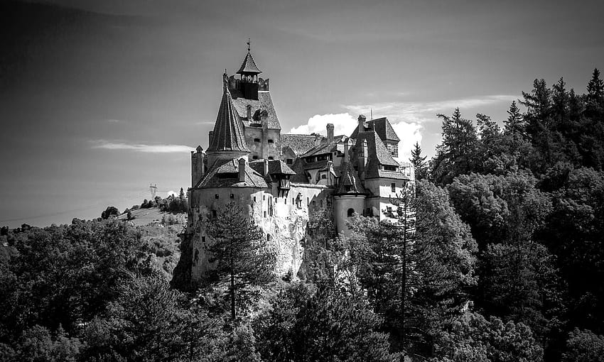 L'uomo che possiede il castello di Dracula vuole rinominarlo, castello di crusca Sfondo HD