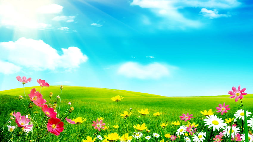3 Spring Meadow, prairie de printemps de dessin animé Fond d'écran HD