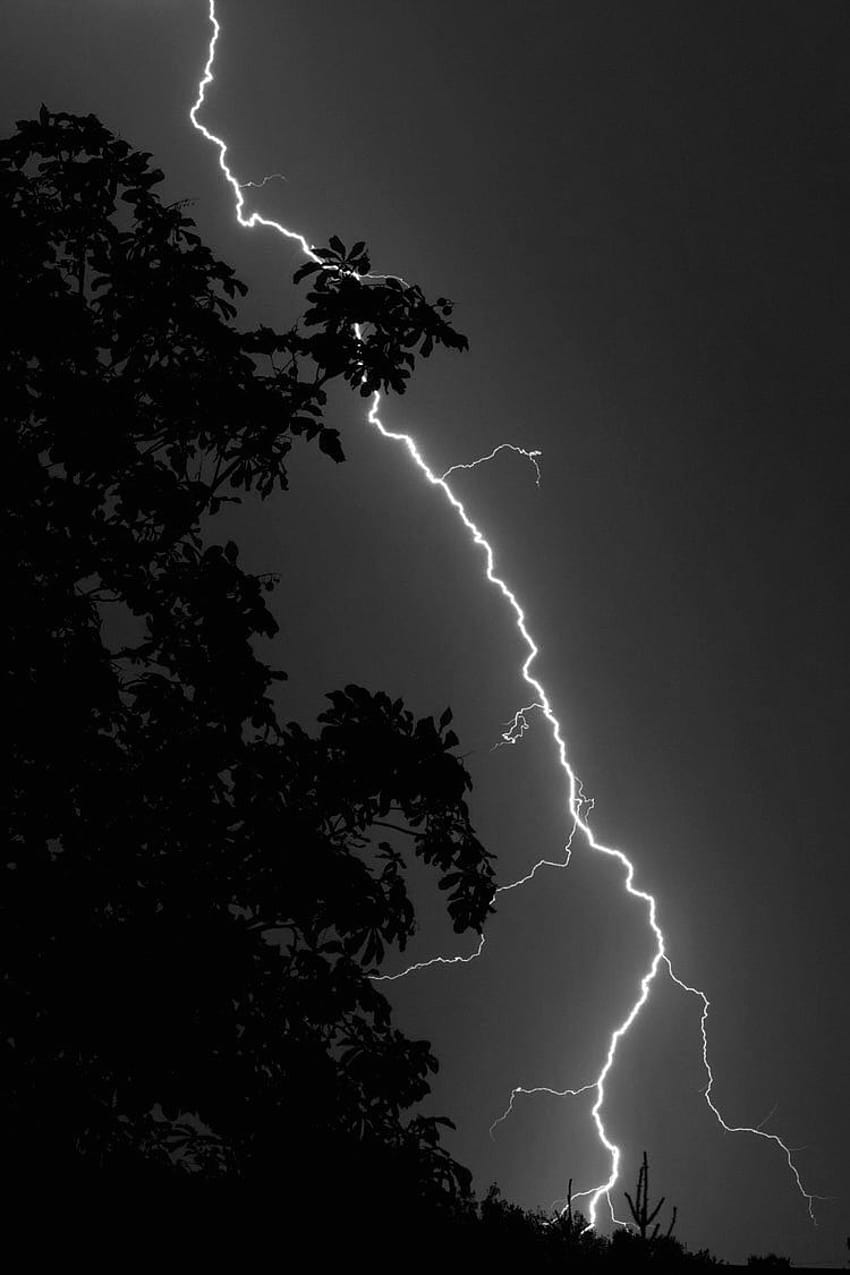 Black Lightning, white lightning HD phone wallpaper
