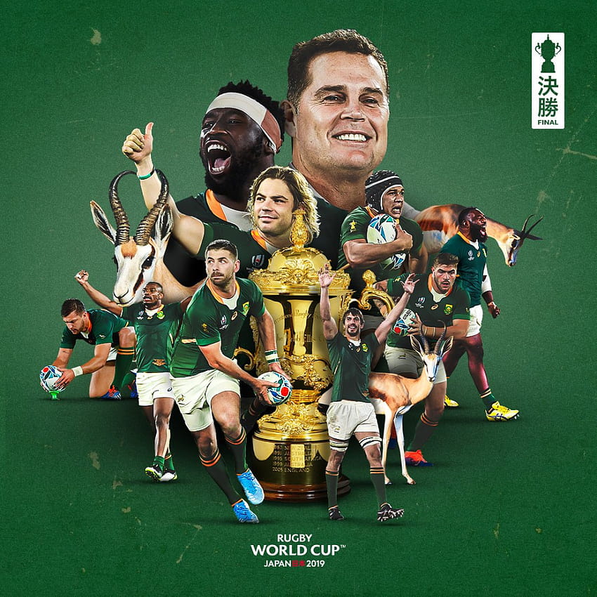 Rugby World Cup on, springboks 1995 HD phone wallpaper