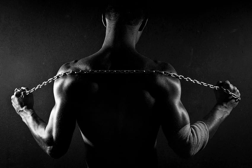 men shoulders circuit power gym, gym black HD wallpaper