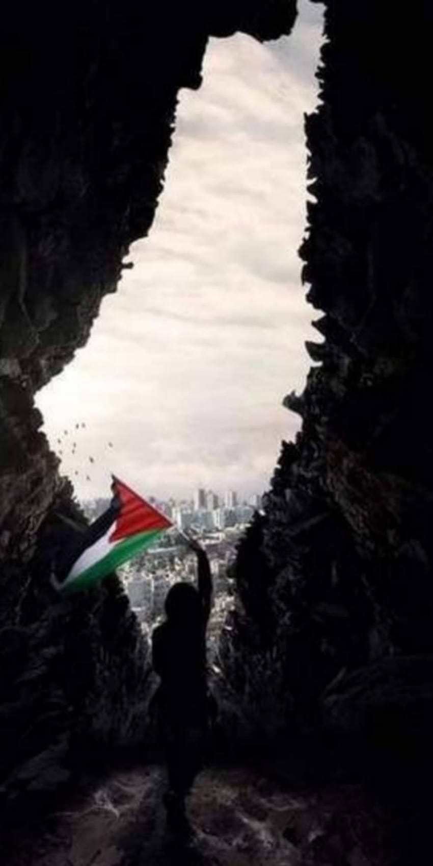 Palestine by Graphistun1919 HD phone wallpaper