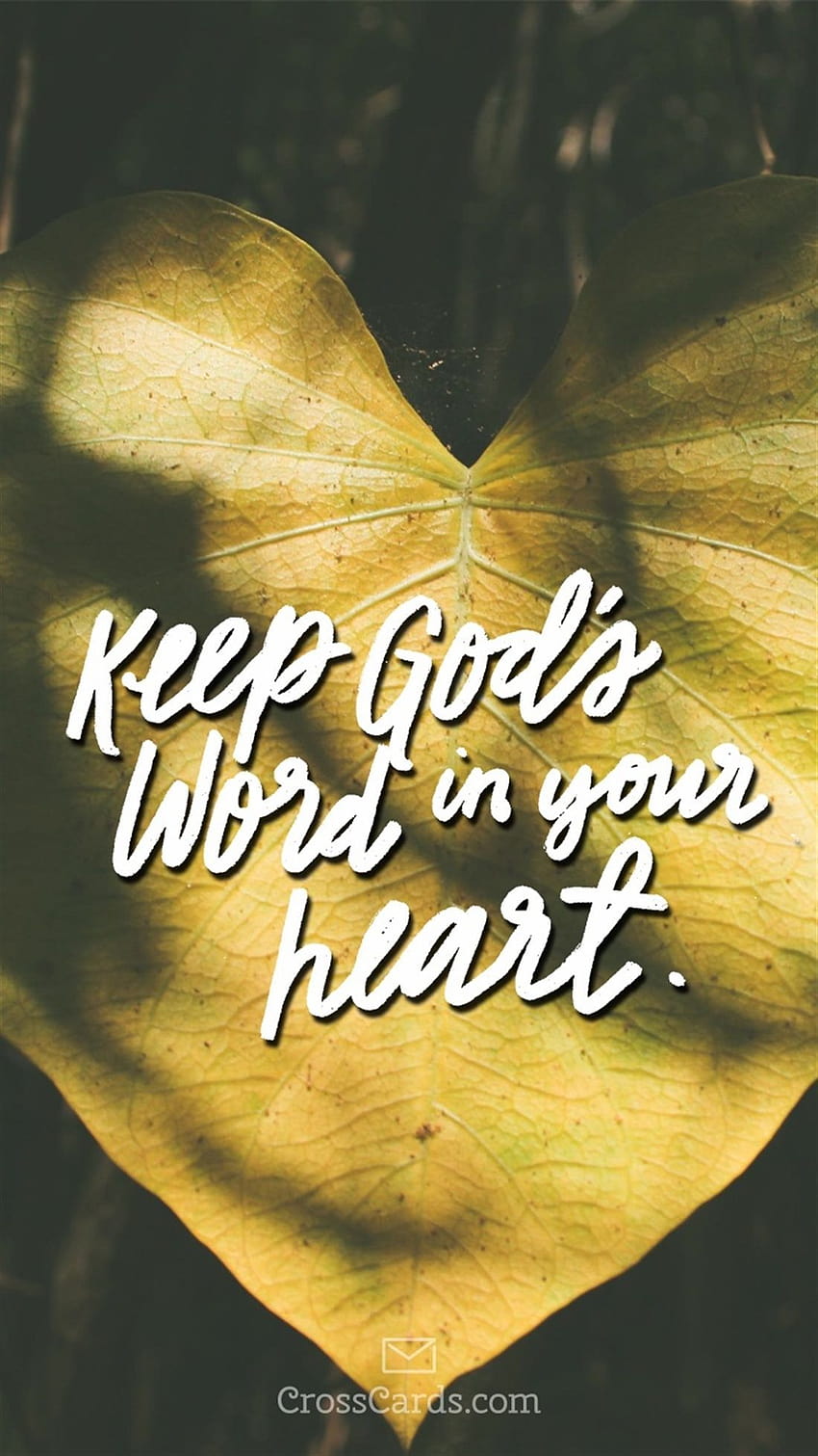 Keep God's Word in Your Heart Phone, word of god HD phone wallpaper