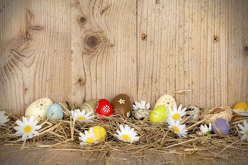 Easter Eggs matricaria Straw Holidays Wood planks, easter wood HD wallpaper