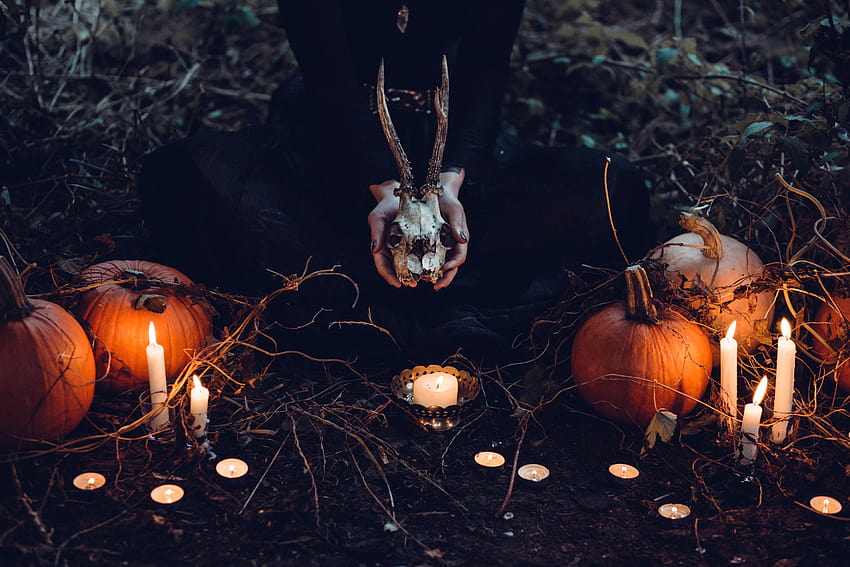 Декорация за Хелоуин от кафява тиква и сив череп на тревно поле · Запас, череп и тиква за Хелоуин HD тапет