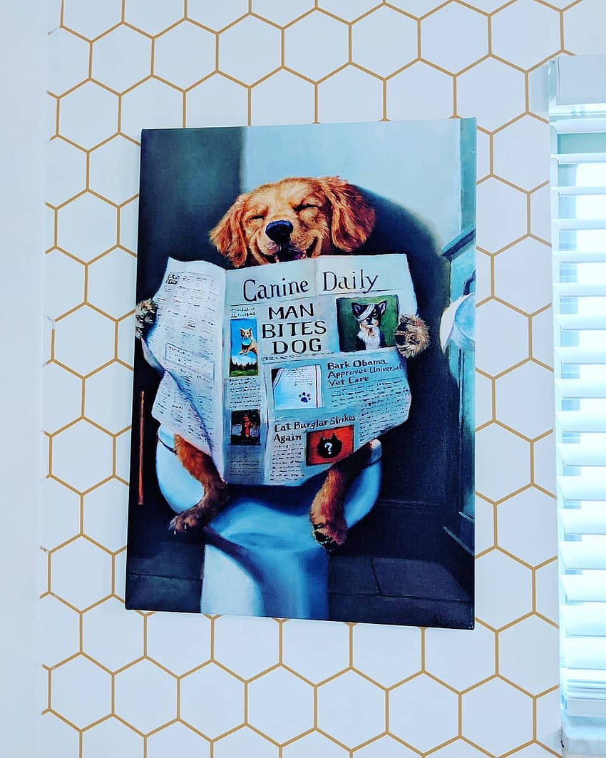 Pin on My Place, dog bath HD phone wallpaper