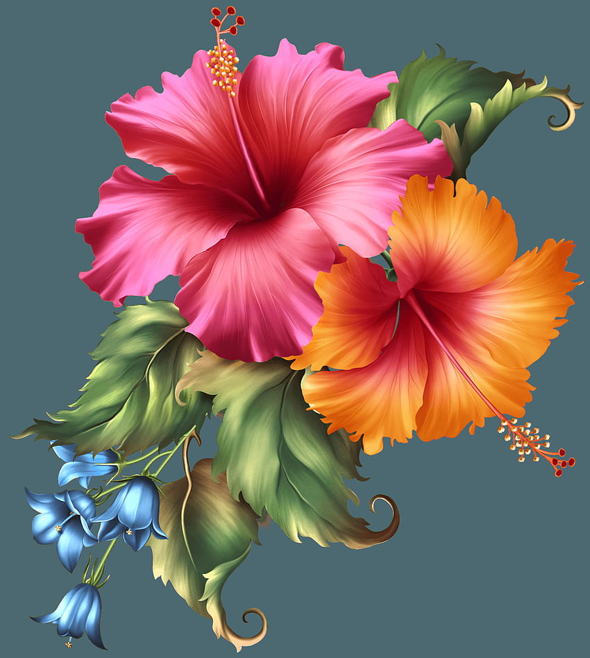 Modisch floraler, hawaiianischer Punsch-Hibiskus HD-Handy-Hintergrundbild