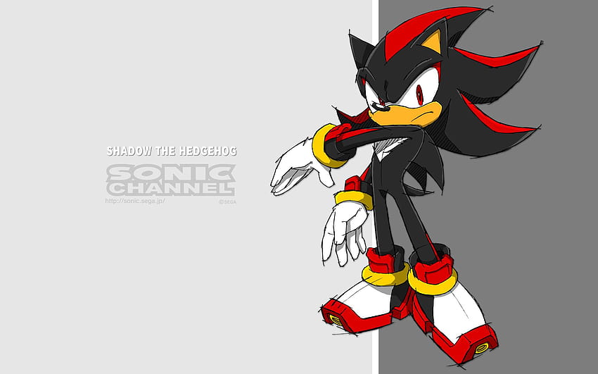 Sonic channel HD wallpaper | Pxfuel