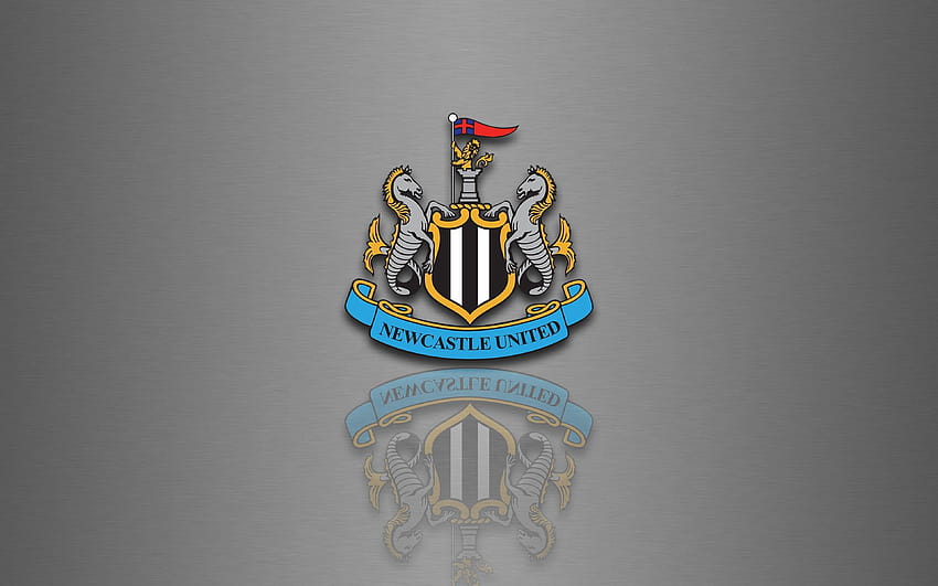 背景 Newcastle United Logo Football Club Silver 高画質の壁紙