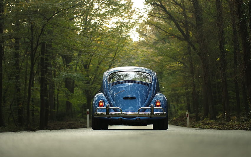 VW Beetle Classic, vw บั๊ก วอลล์เปเปอร์ HD