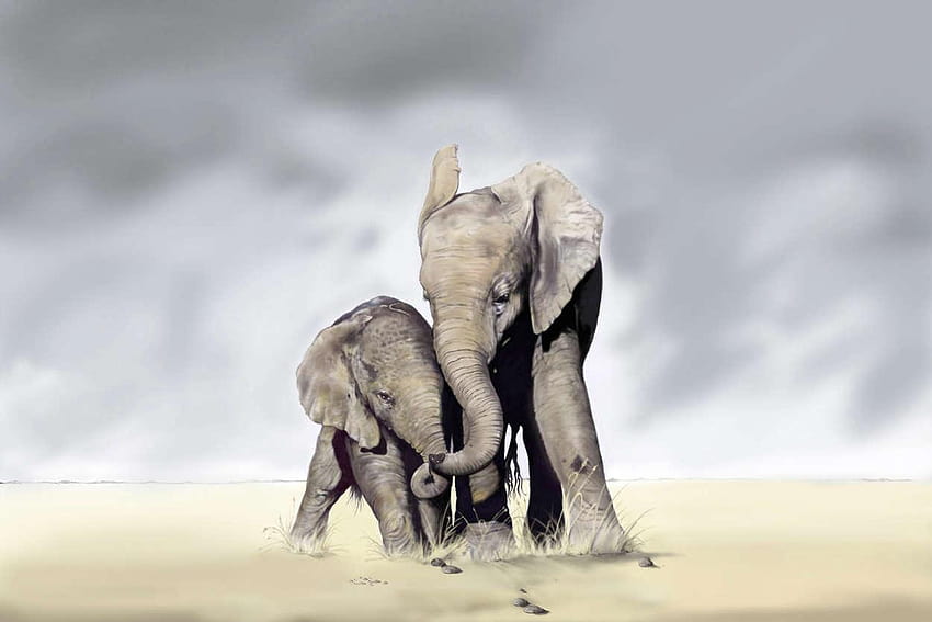 Livingwalls «Elephant Family XXL» 036444 HD wallpaper