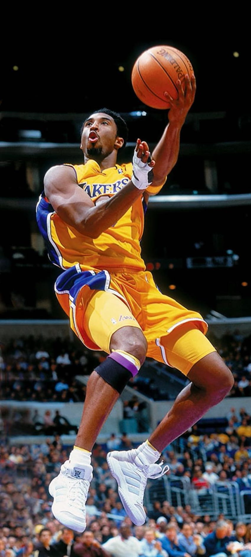 ▷ 100 ide untuk Kobe Bryant To Honor The Legend, kobe dunk vintage wallpaper ponsel HD