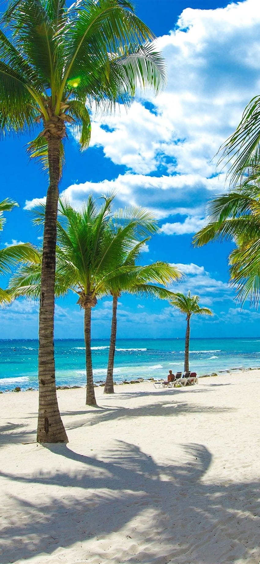 Strand, Meer, Palmen, tropisch, Wolken, Sonnenschein 1080x1920, Telefon Palmenstrand HD-Handy-Hintergrundbild