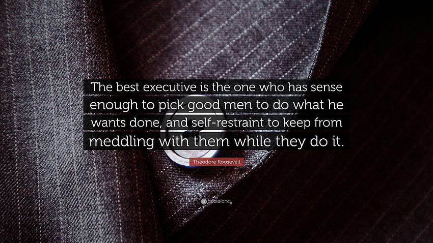 Theodore Roosevelt Quote: “The best executive is the one who has HD wallpaper