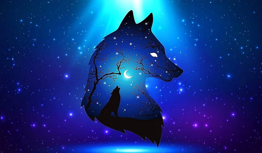 Cool Blue Wolf, loup noir et bleu Fond d'écran HD