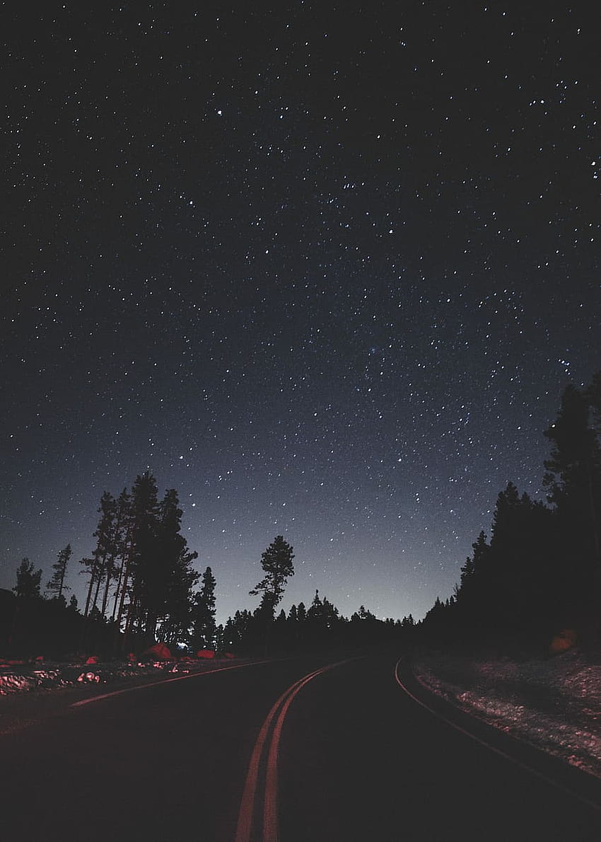 Levant les yeux, route vide entre les arbres sous le ciel avec des étoiles esthétiques la nuit Fond d'écran de téléphone HD