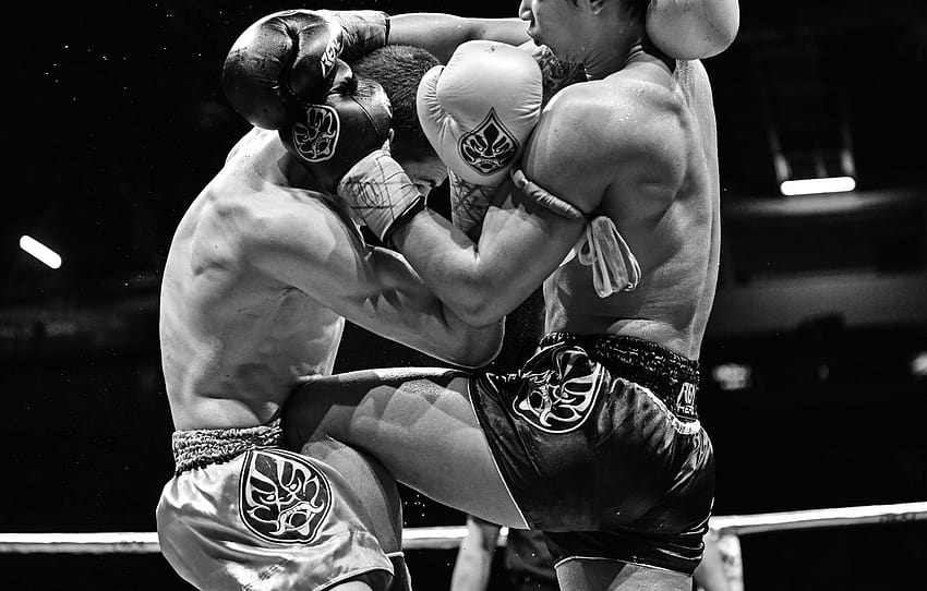 Persaingan, Pertarungan, Muay Thai , bagian спорт, tinju Thailand Wallpaper HD